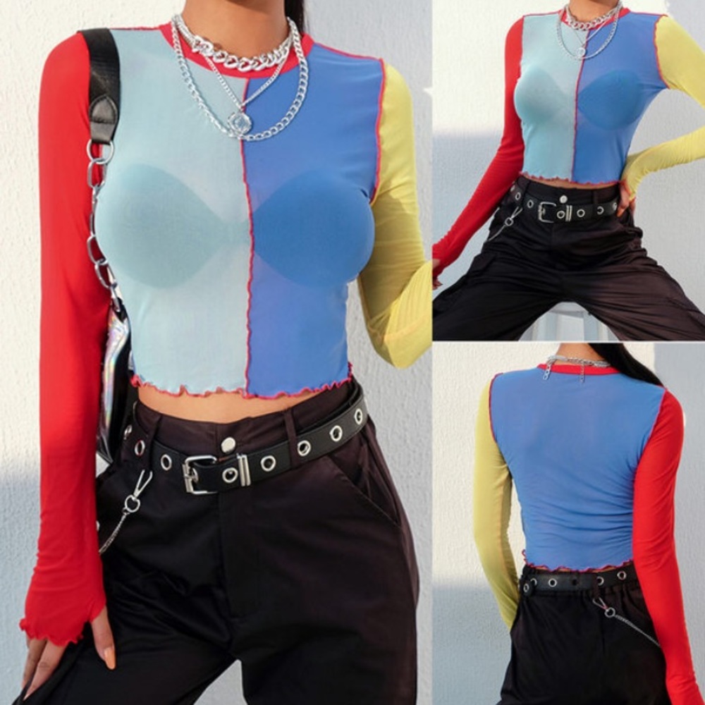Color block Sheer Long Sleeve Top